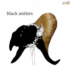 Coil : Black Antlers